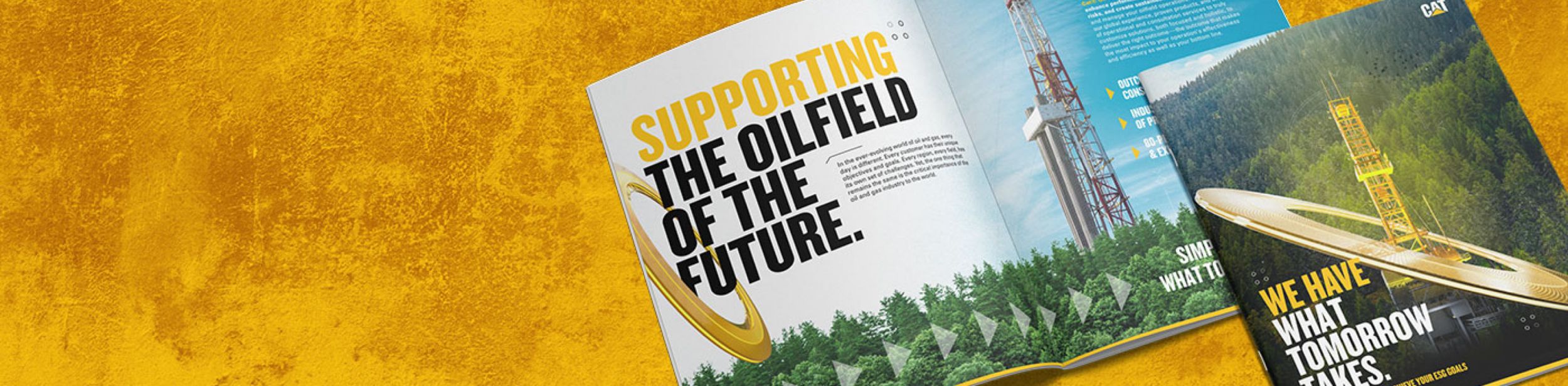 Download the ESG brochure here