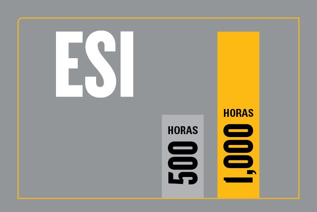 Gráfica de opción ESI