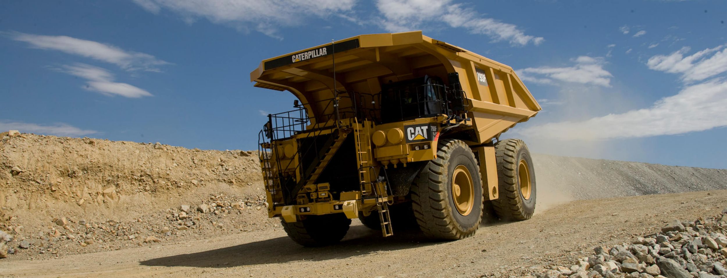 two cat duo-cone seals