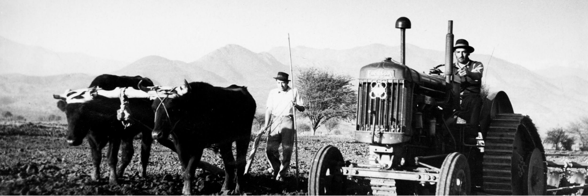 Tradición en América Latina