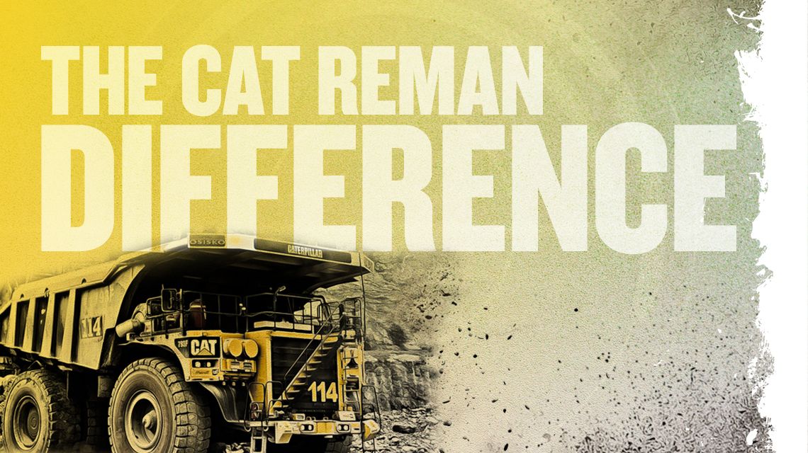 DETTA SKILJER CAT REMAN FRÅN MÄNGDEN