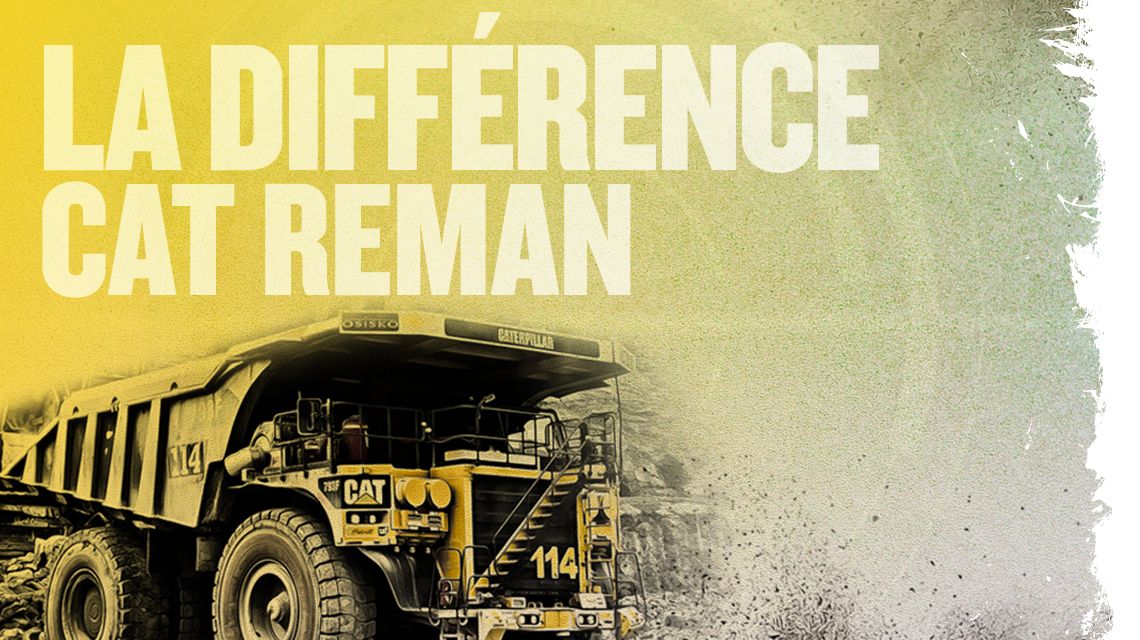 CE QUI DISTINGUE CAT REMAN