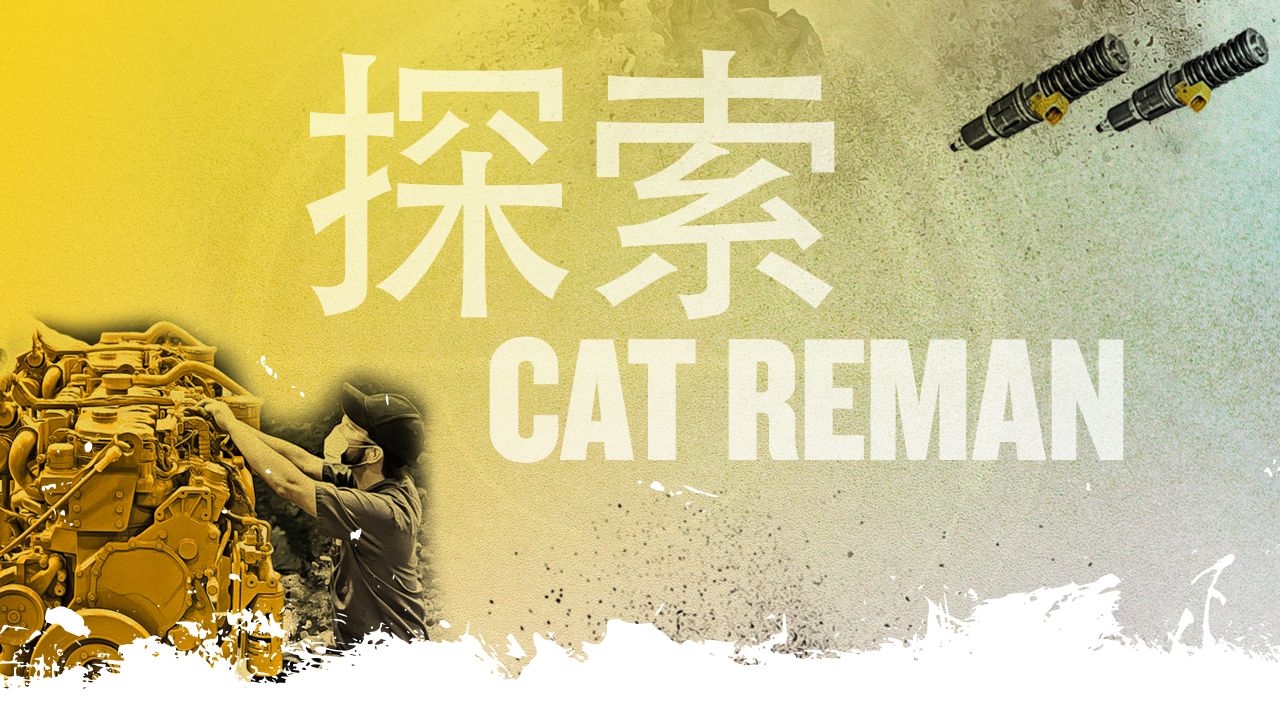 Exploring Cat Reman - CHINESE