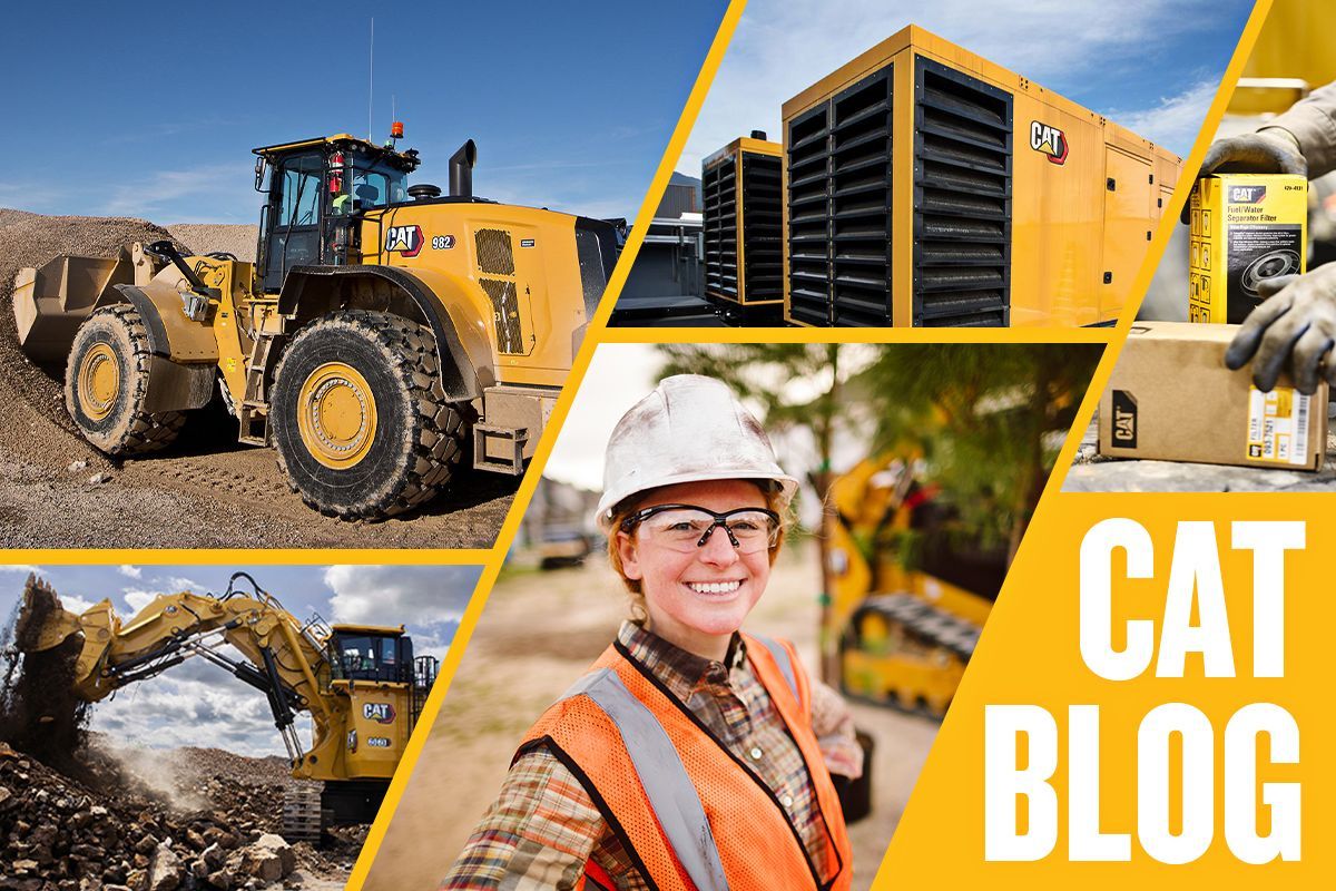 Visit Our New Cat Blog