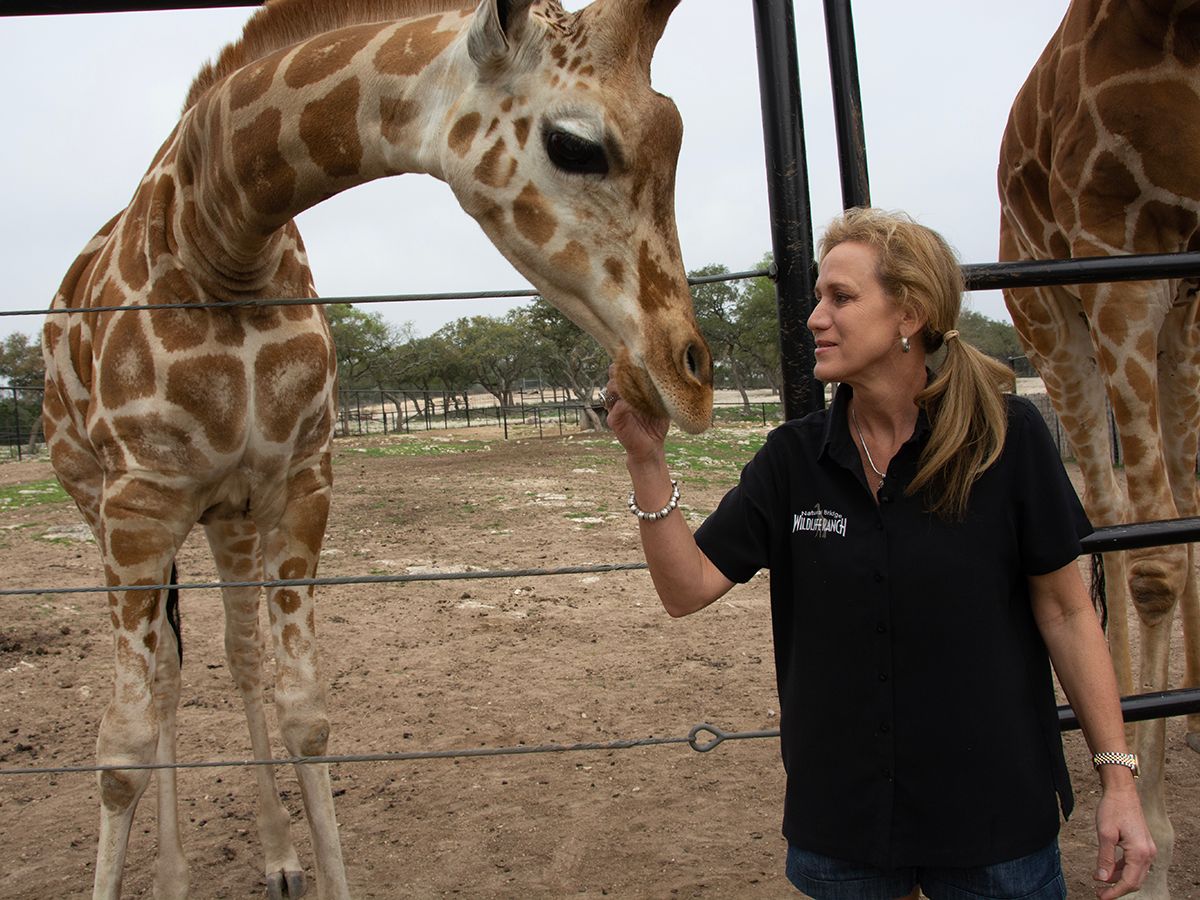 Natural Bridge Wildlife Ranch