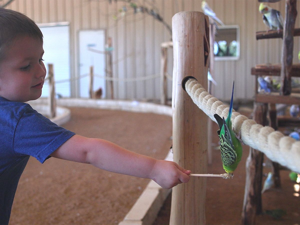 Natural Bridge Wildlife Ranch