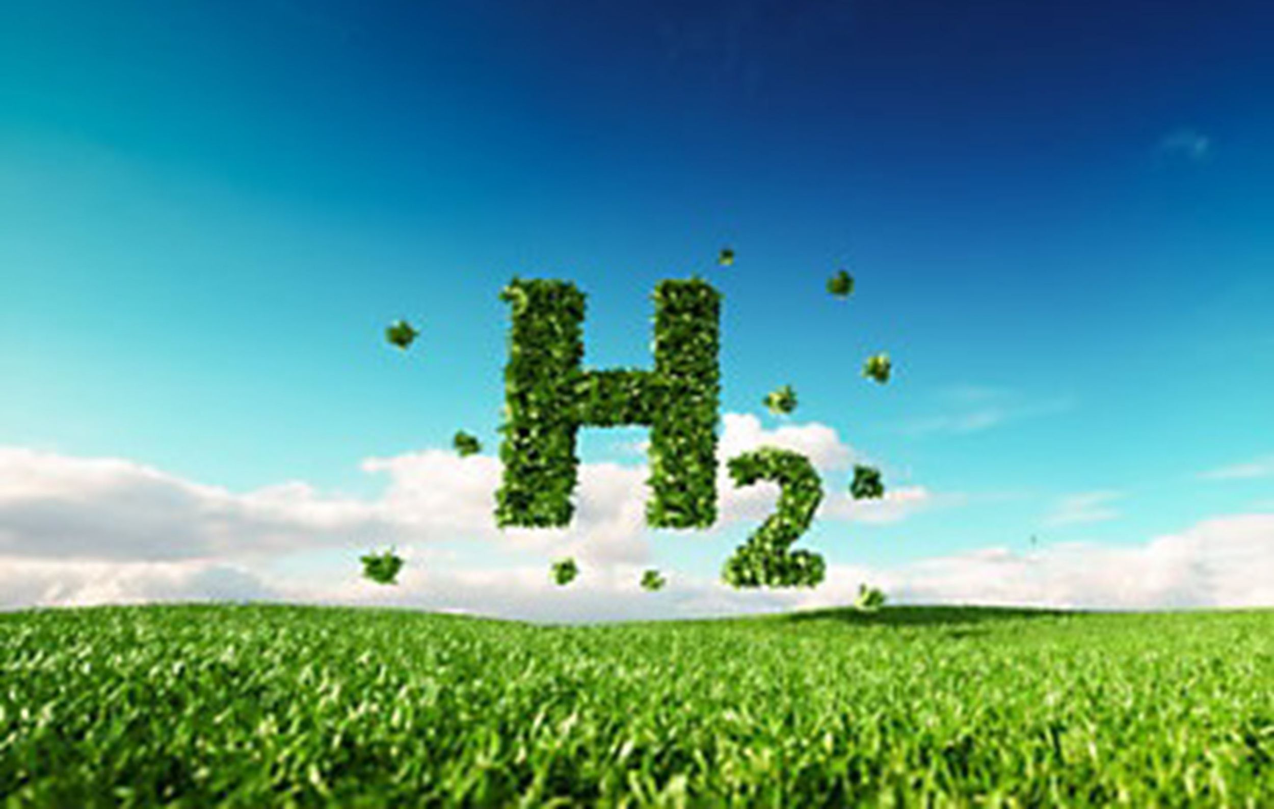 Reducción de carbono