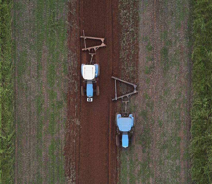 Agriculture in Latin America
