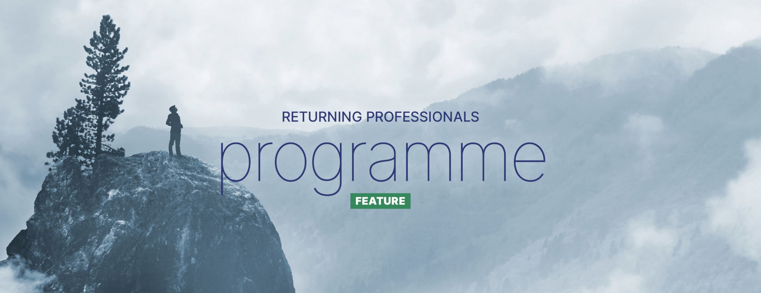 Returning professionals programme