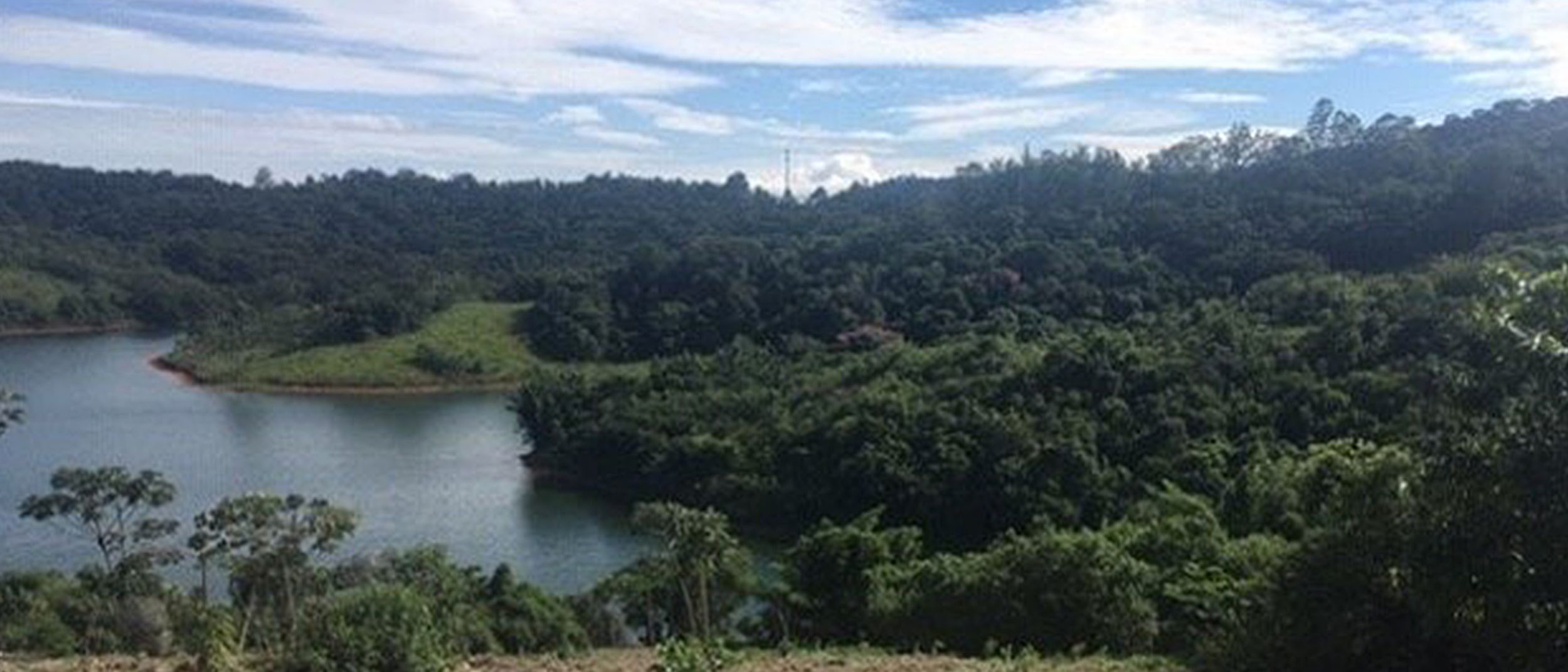 Lake surrounded by forest