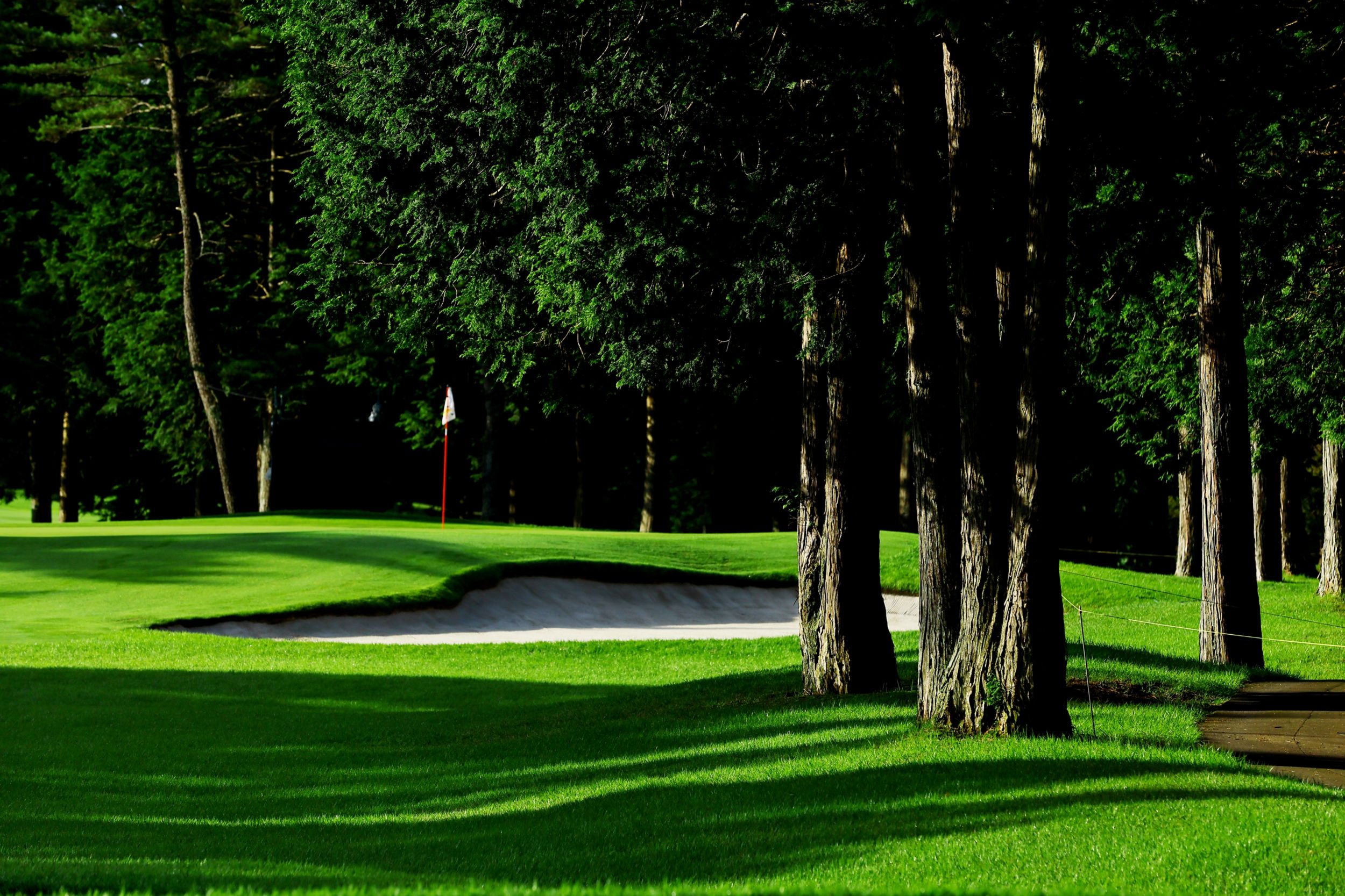 コースの改修を支える CAT® マシンのメンテナンス