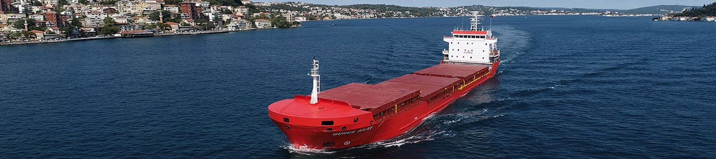 Optimization of Fuel Consumption for M 32 C Engines