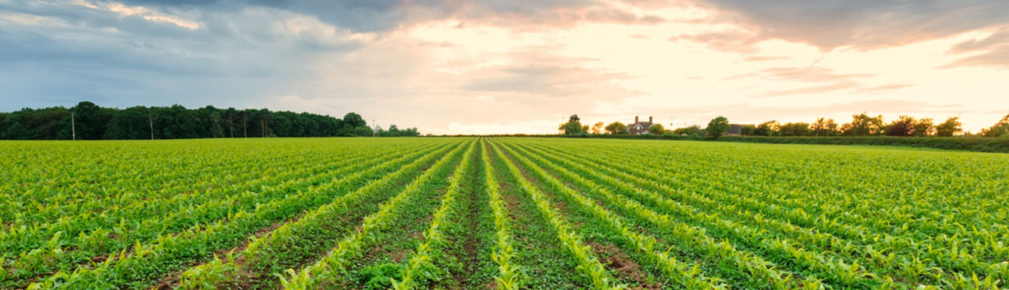 Sustainability with FG Wilson