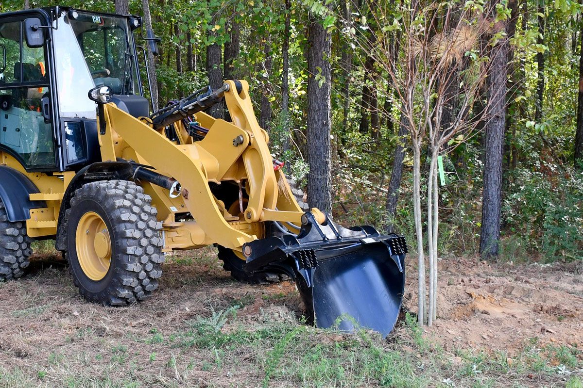 Tree Scoop Bucket