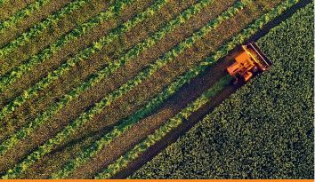 Agriculture
