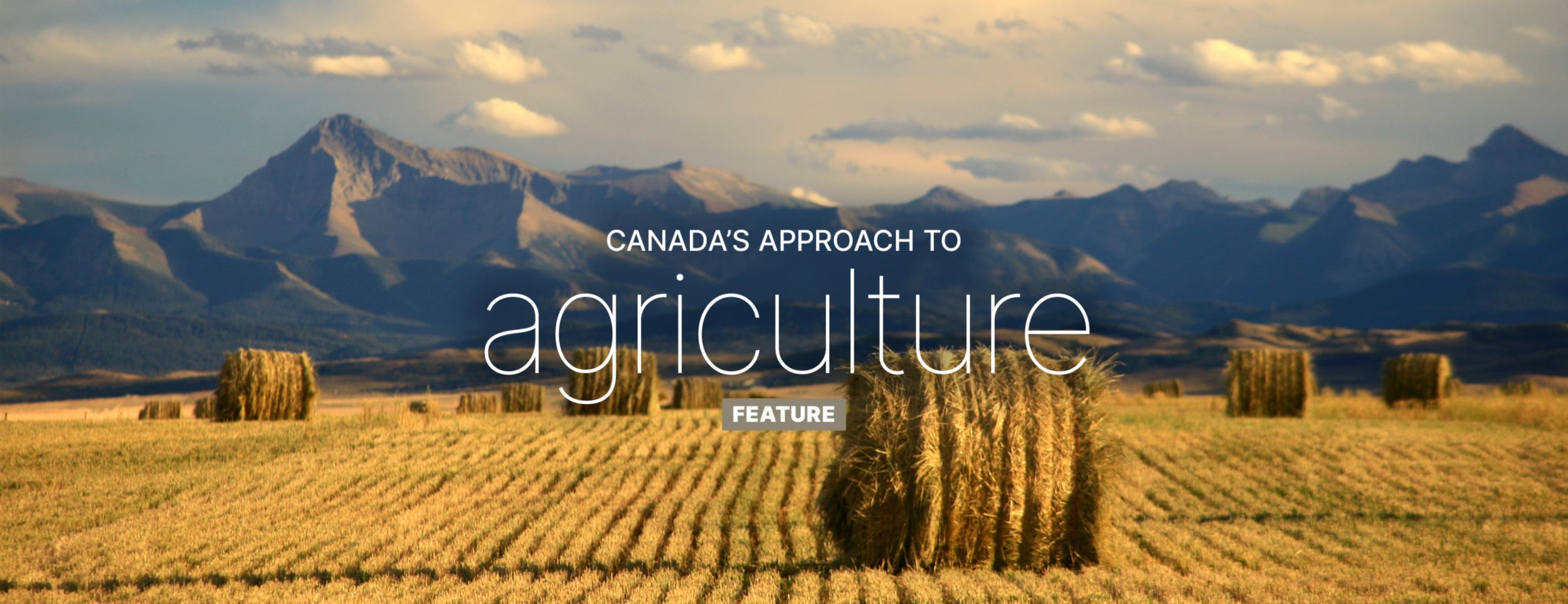 Canadian agricultural harvest