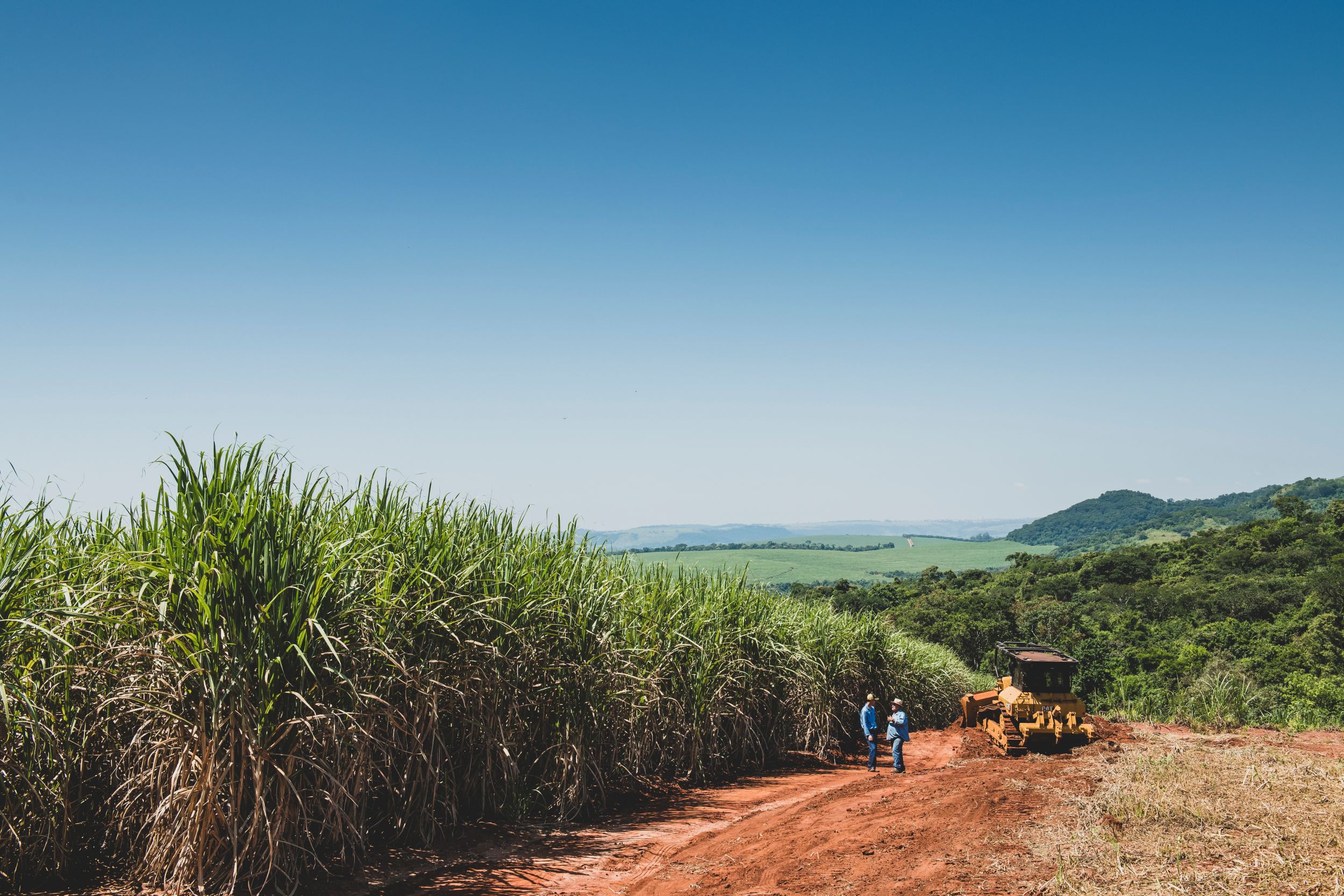 Compact Track Loader