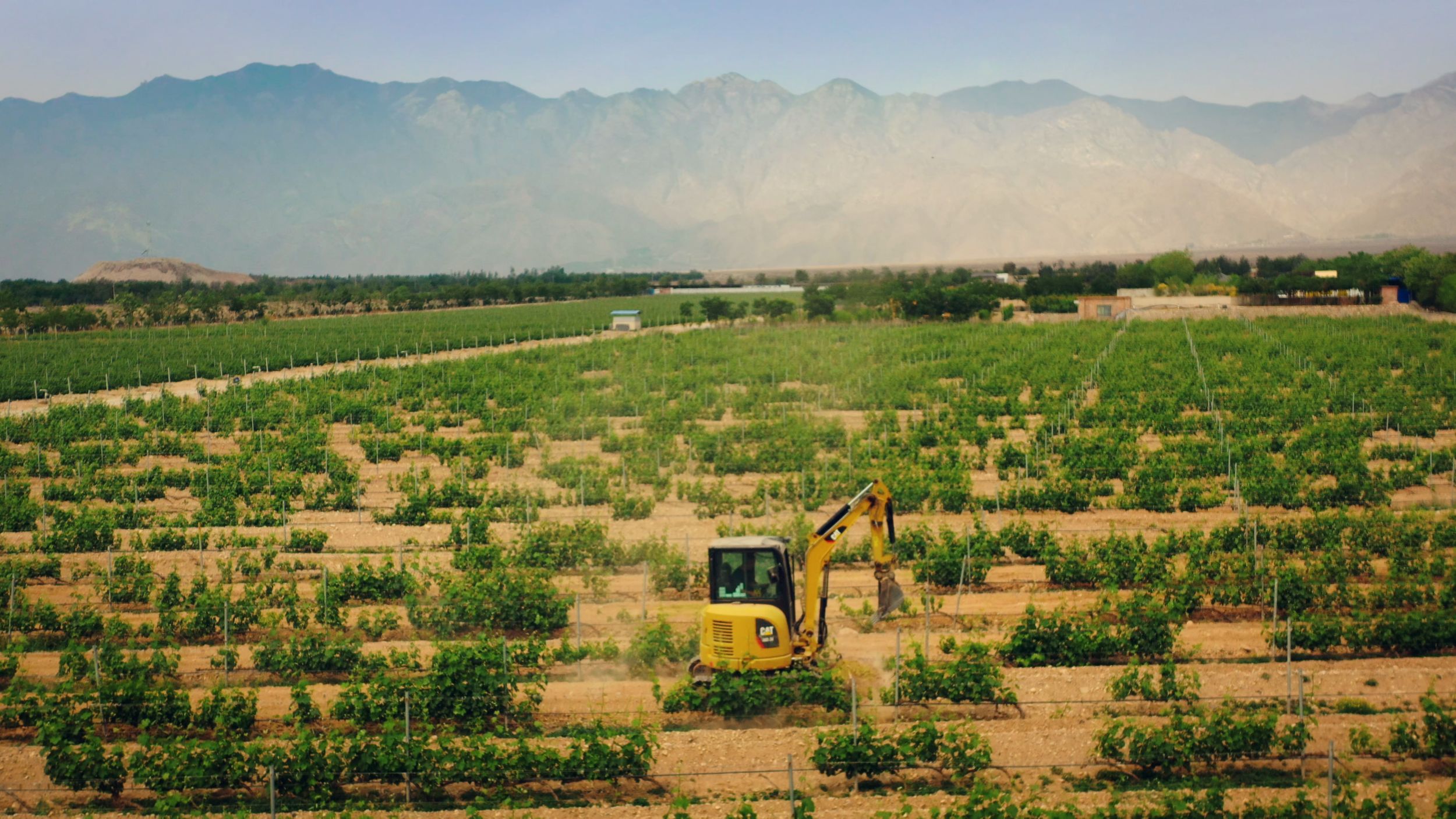 CAT & National Geographic China