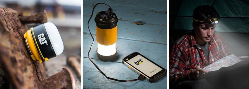 Collage of Cat Lights