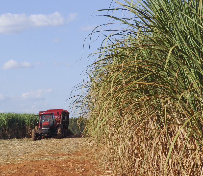 Agriculture in Latin America