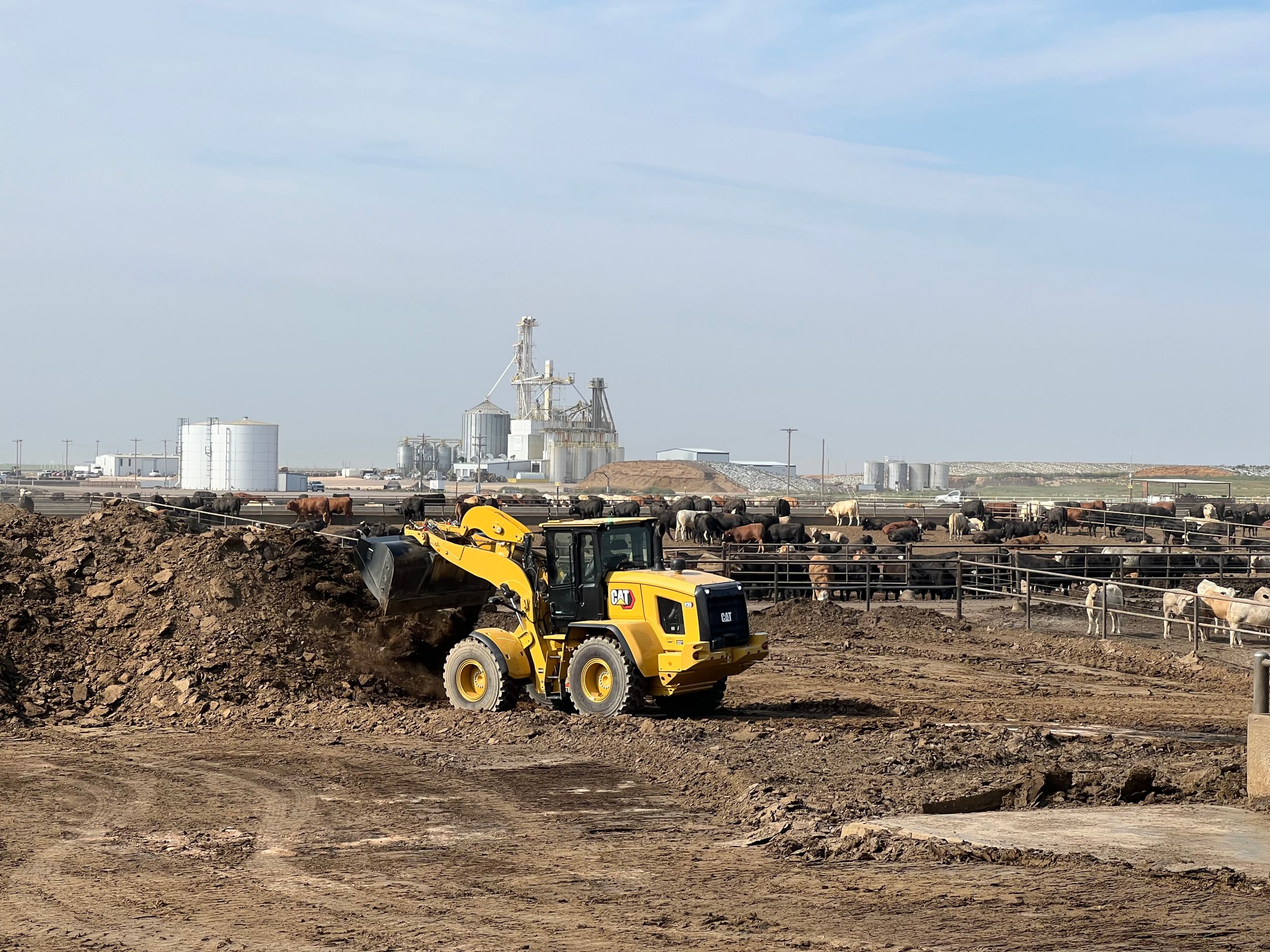 Cat® 930 Small Wheel Loader