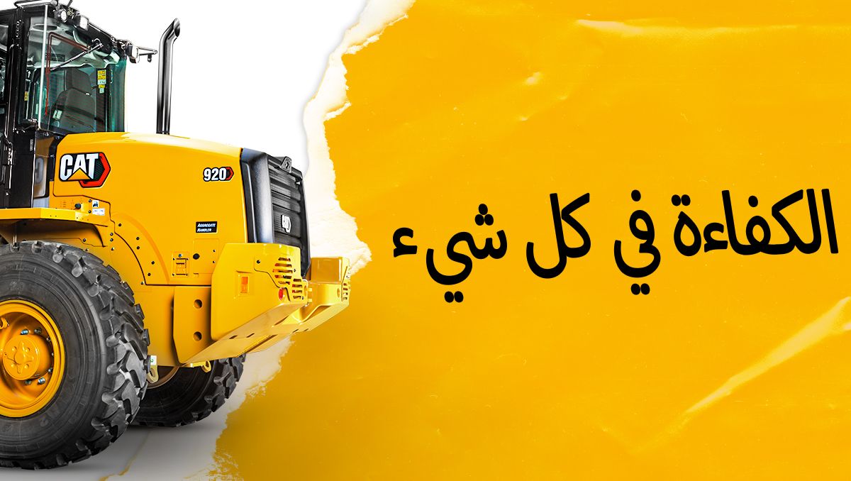 Efficiency as standard