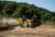 988 Large Wheel Loader