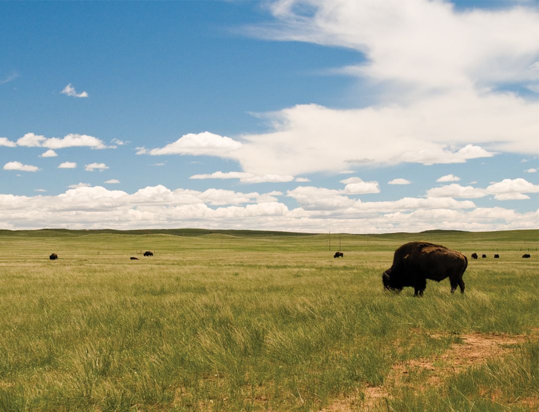 Reduce regulated criteria pollutants