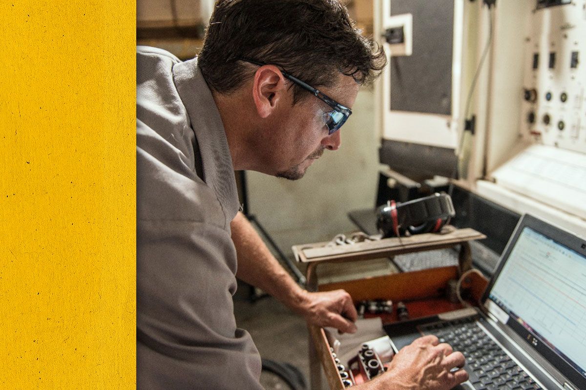 Close up of Cat worker analyzing efficiency data on a laptop