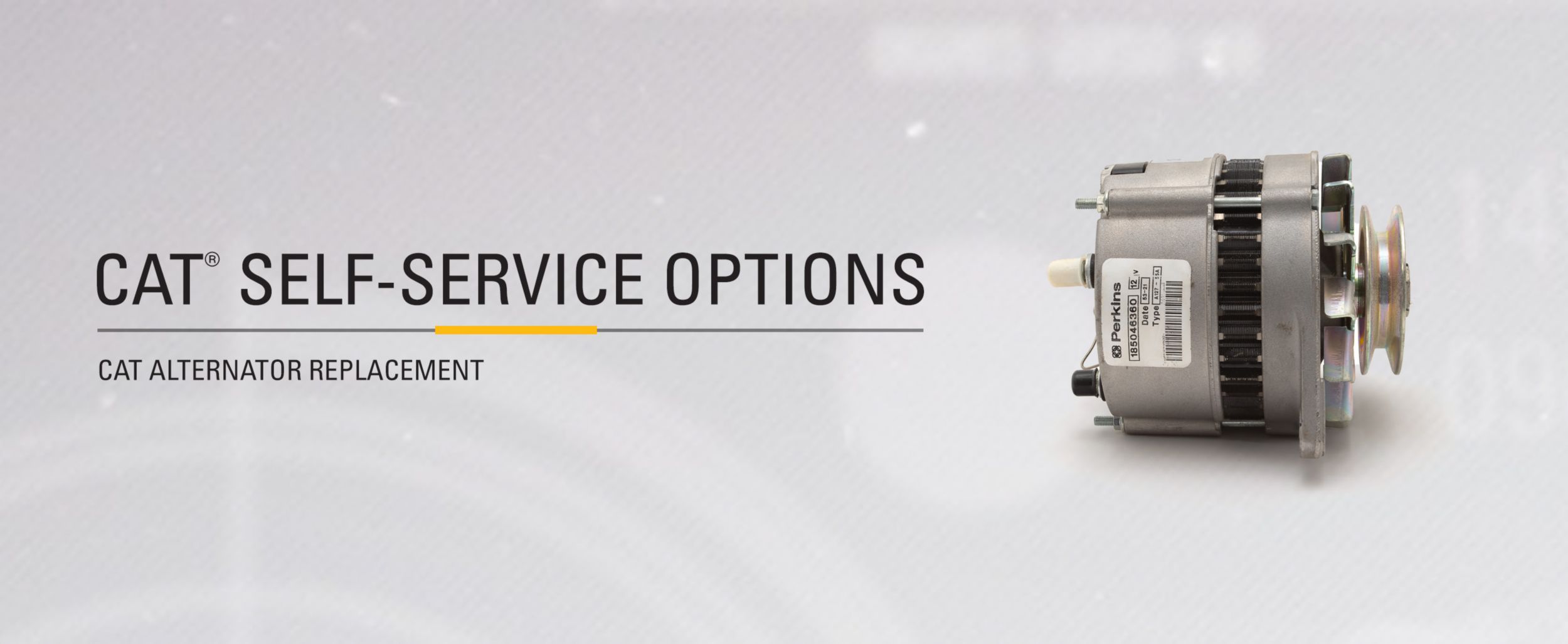 Cat Alternator