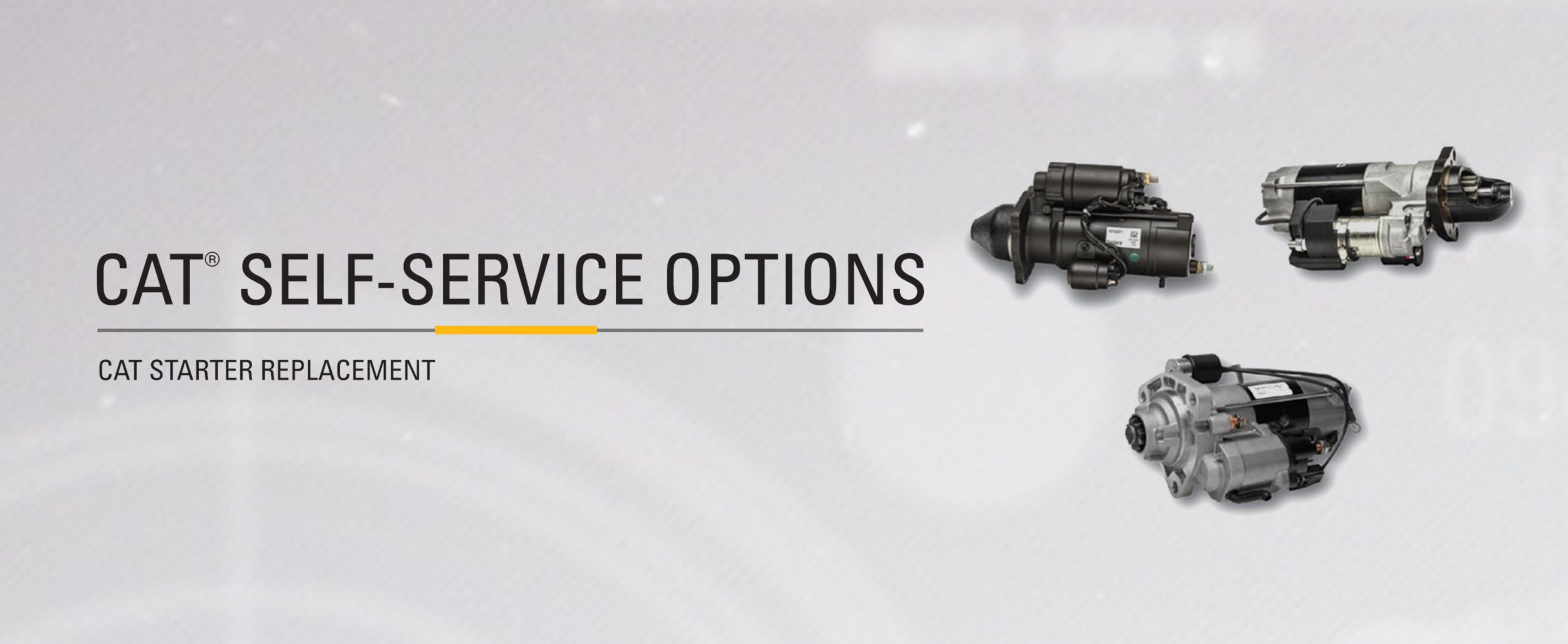 Three variations of different Cat Starters