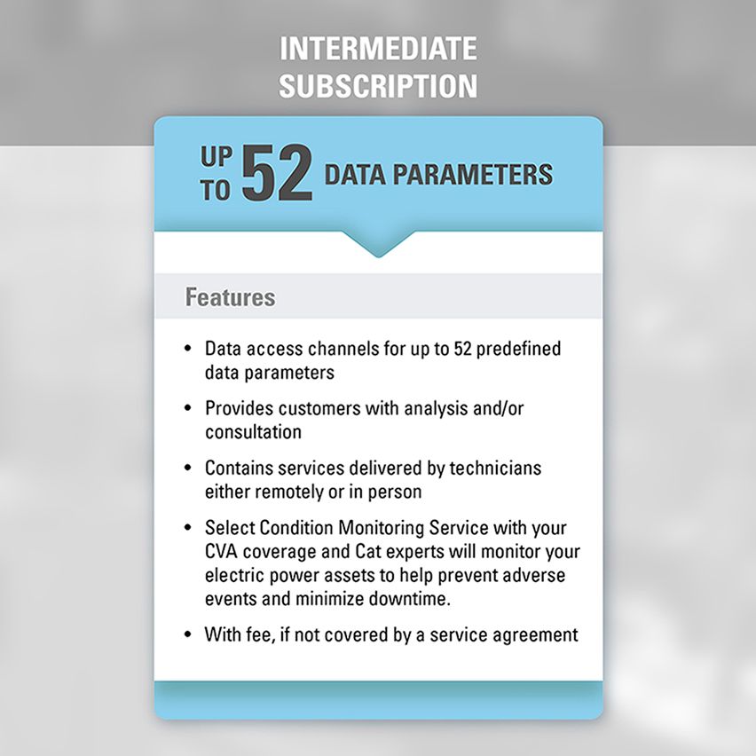 Cat Connect subscription levels - Intermediate