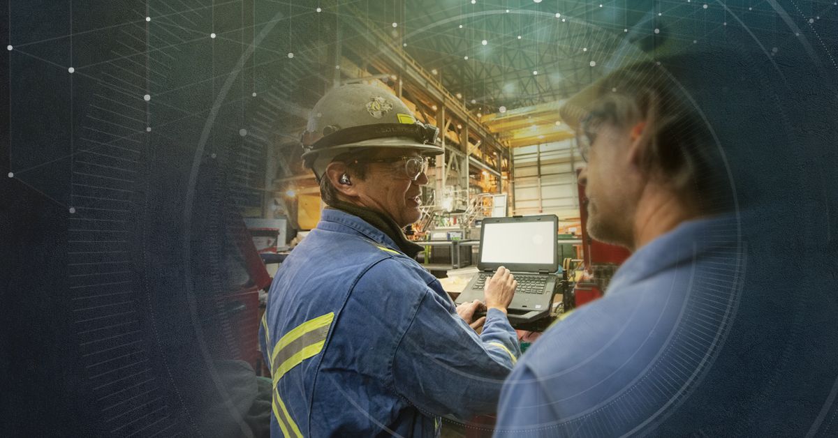 Cat Health Equipment Insights