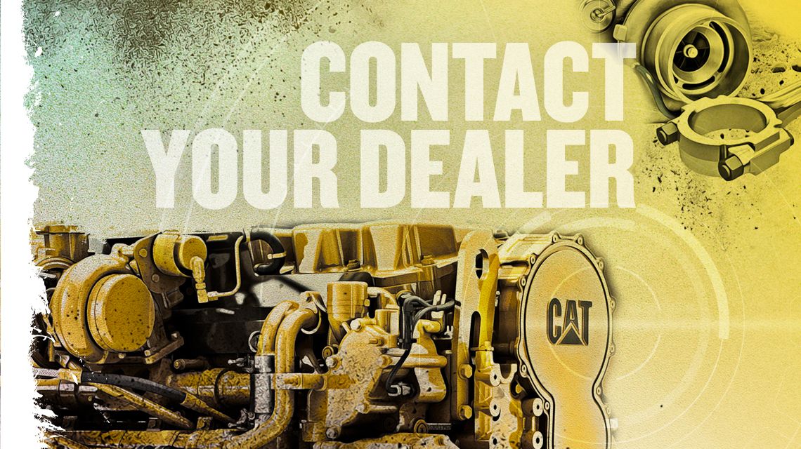 Känn Dig Trygg Med Cats Återförsäljarnätverk