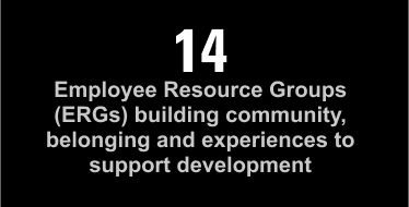 14 Employee Resource Groups (ERGs) building community, belonging and experiences to support development