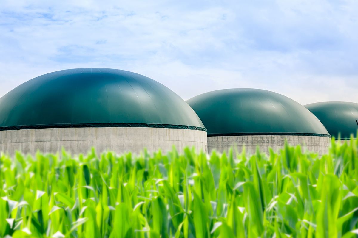 Flexible fuel options