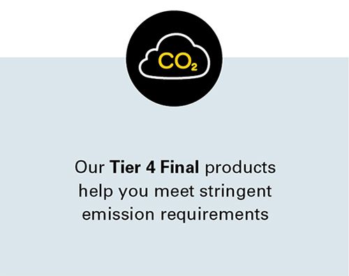 Tier 4 Final icon graphic