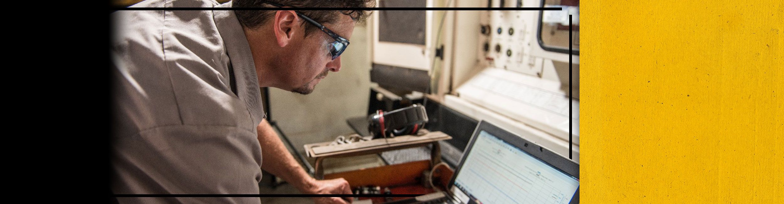 Close up of Cat worker analyzing efficiency data on a laptop