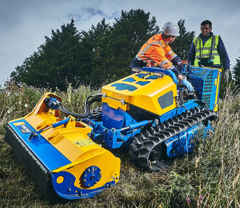 Services with expert insight