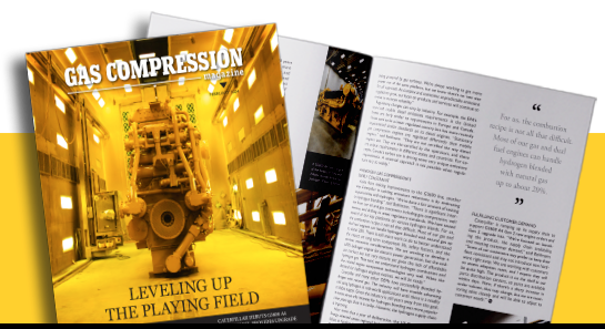 Leveling Up the Playing Field article thumbnail