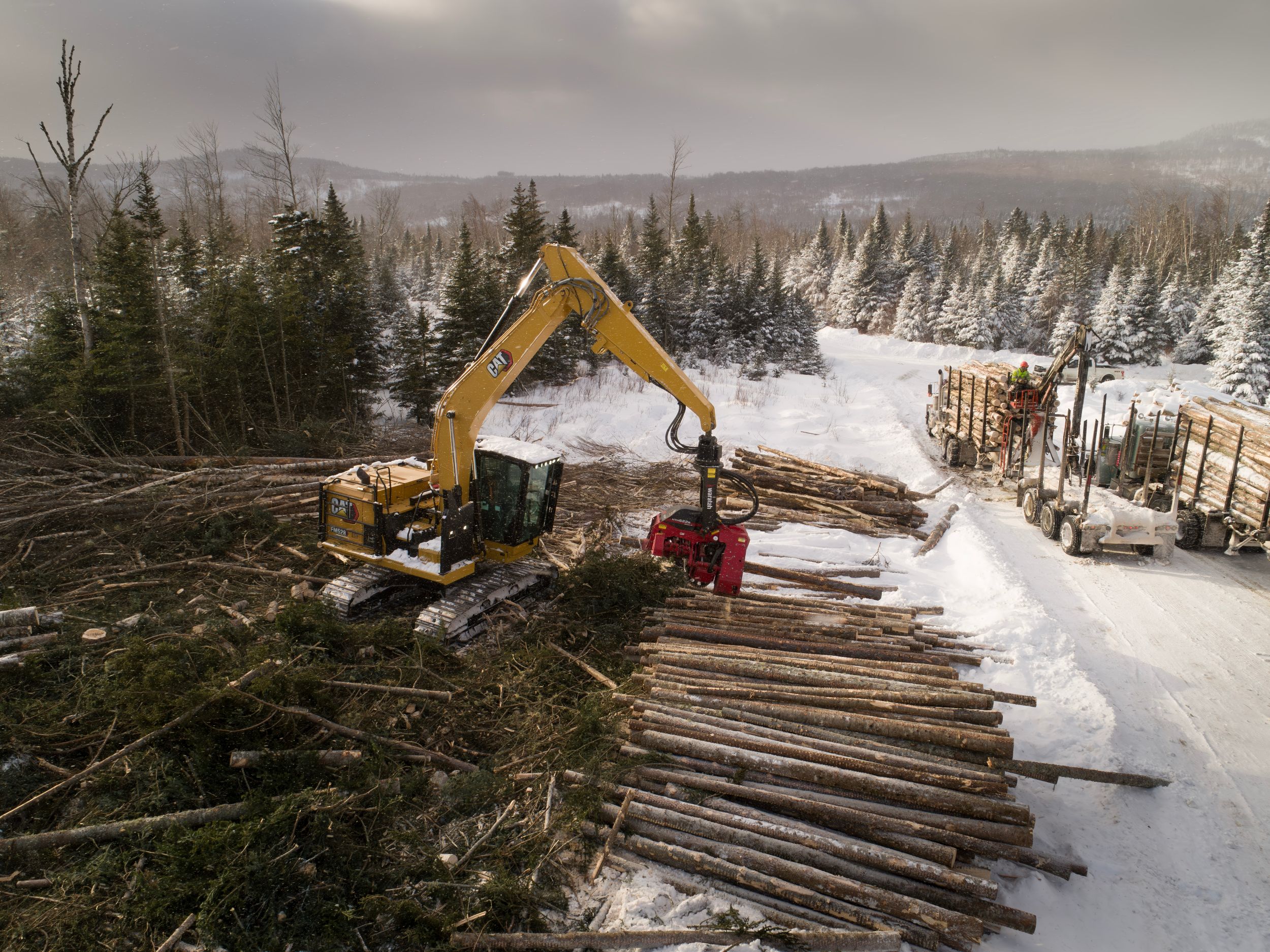 Performances exceptionnelles