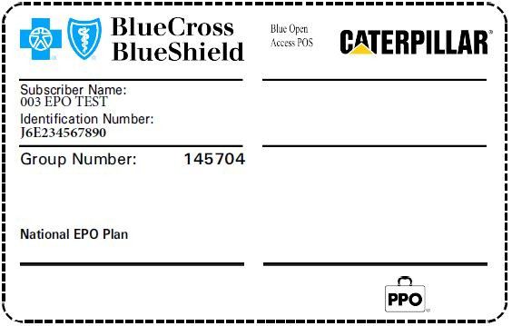 BlueCross BlueShield ID card