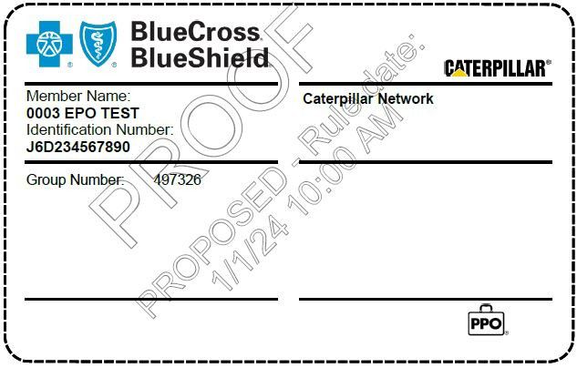 BlueCross BlueShield ID card