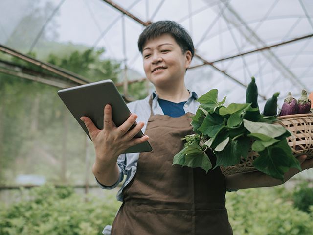 Asian woman looking at a tablet in a greenhouse