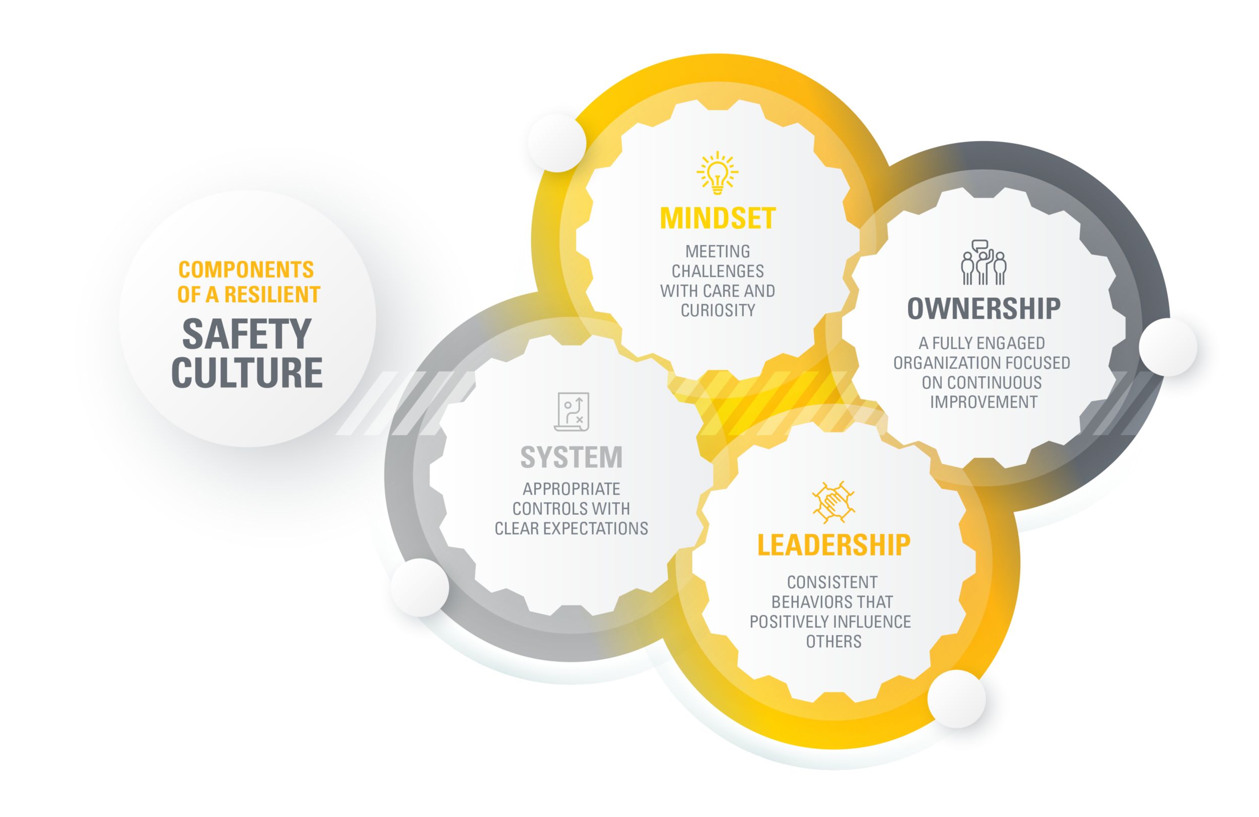 Components of a Resilient Safety Culture