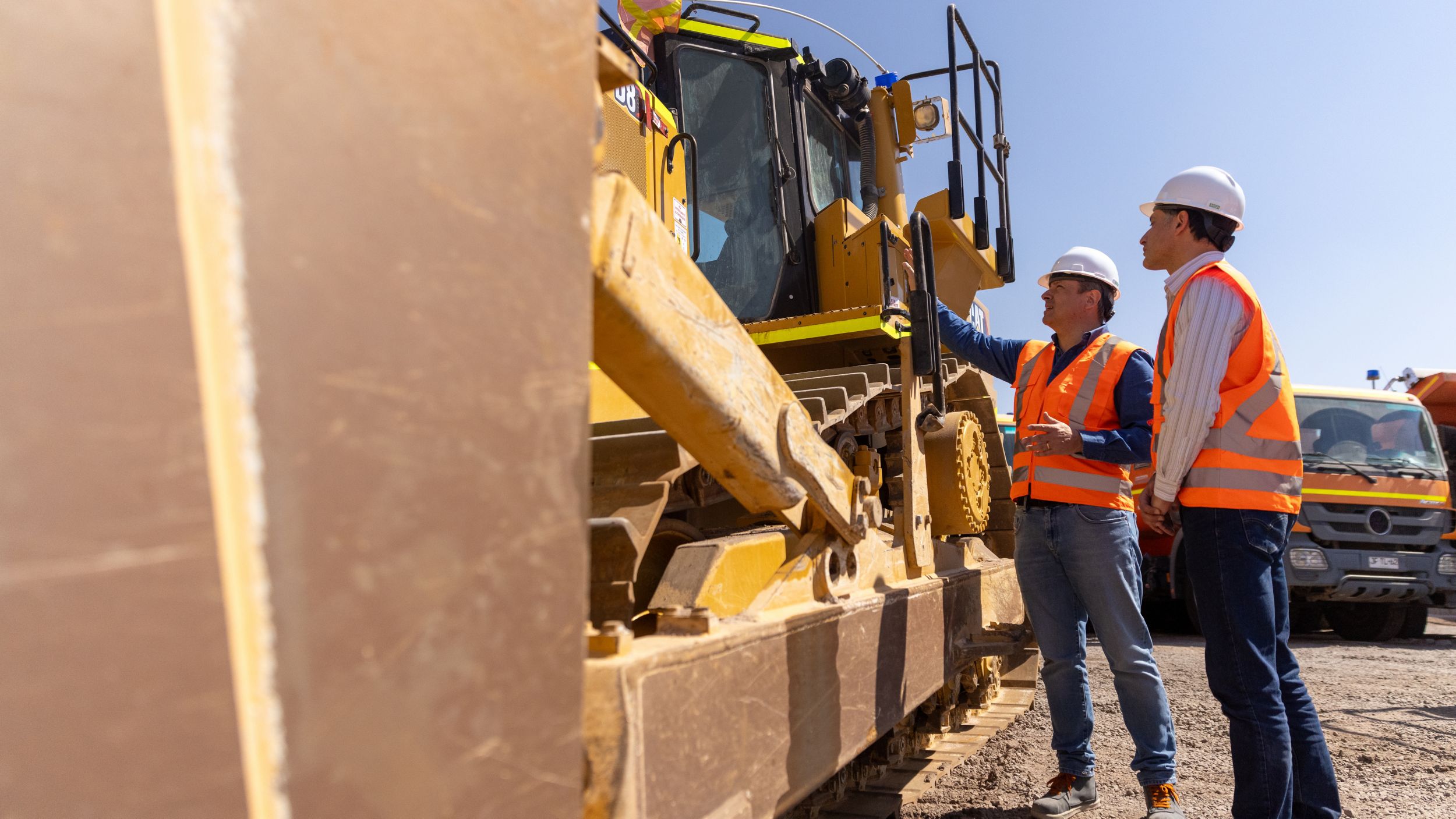 protección extendida