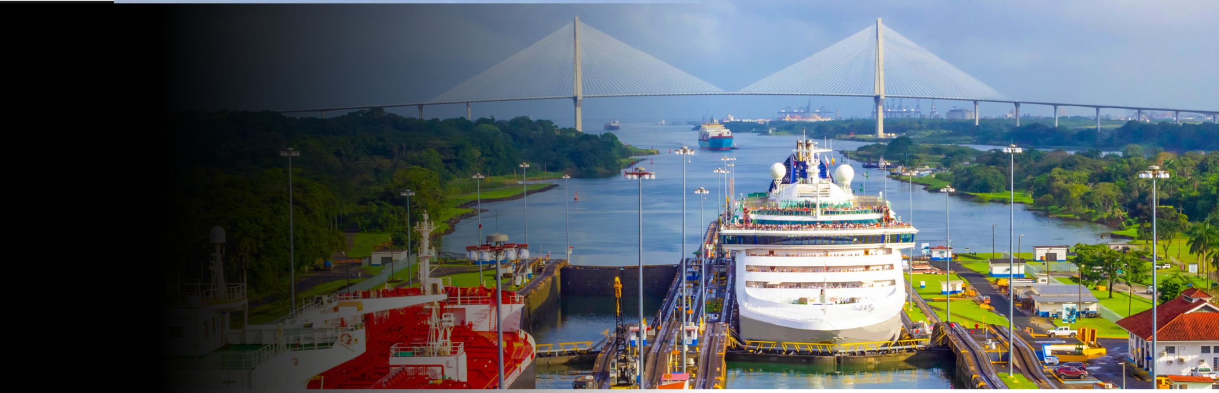 impatto di Caterpillar