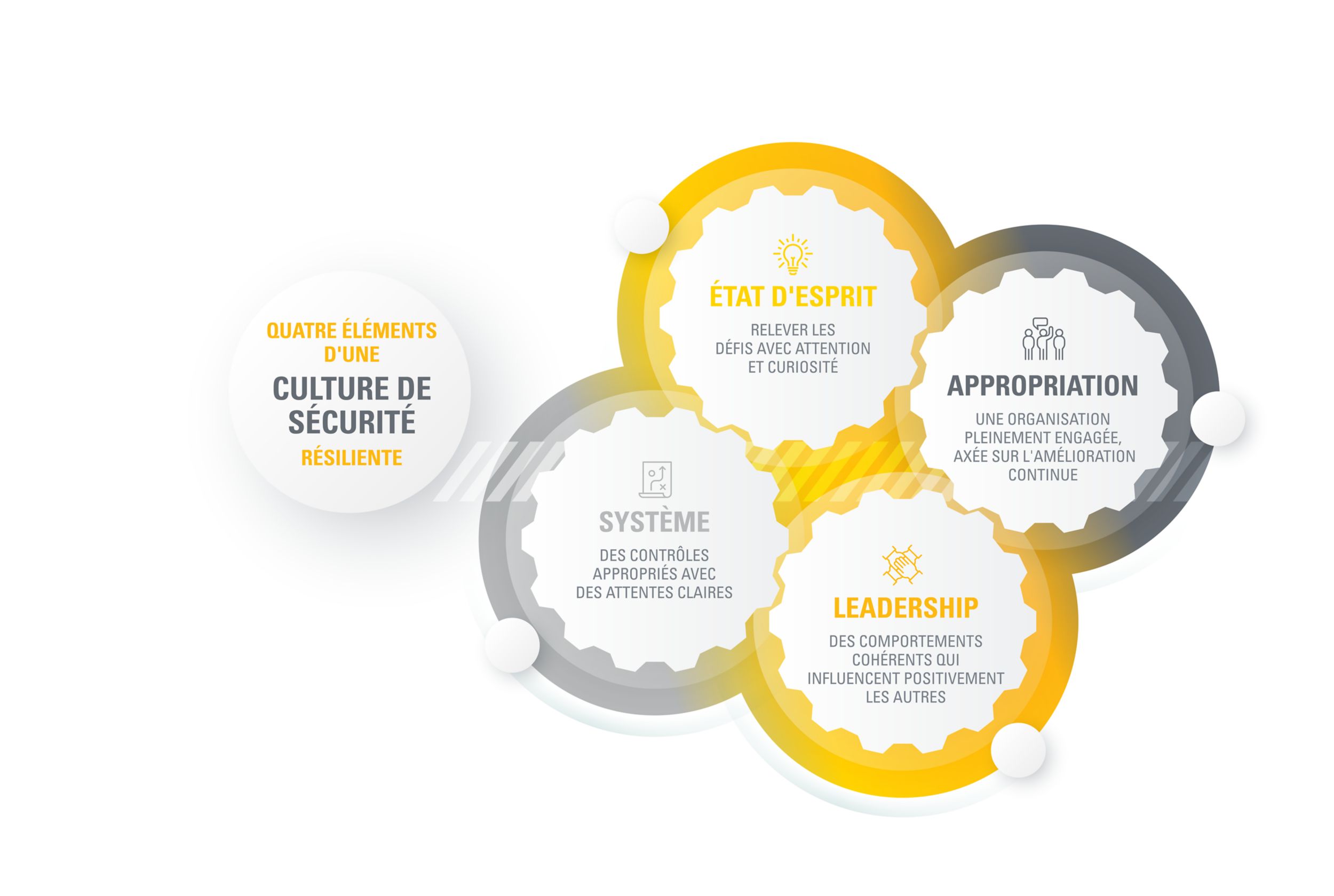 Safety culture diagram