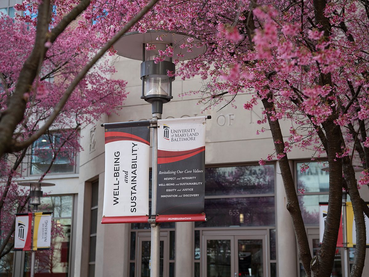 University Of Maryland Baltimore 