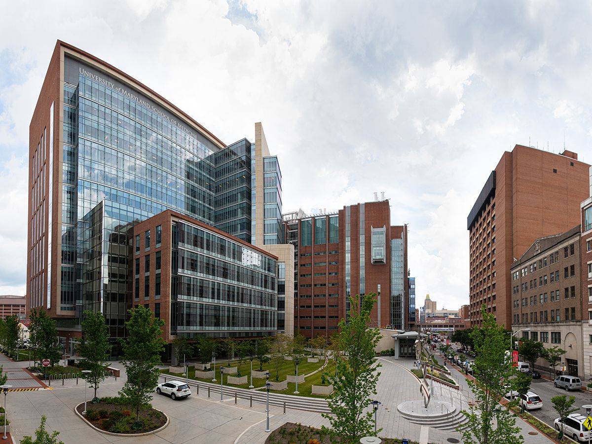 University Of Maryland Baltimore 
